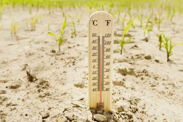 fiecare om va fi cu 40 mai sarac daca temperatura planetei va creste cu 4 grade 962412.webp