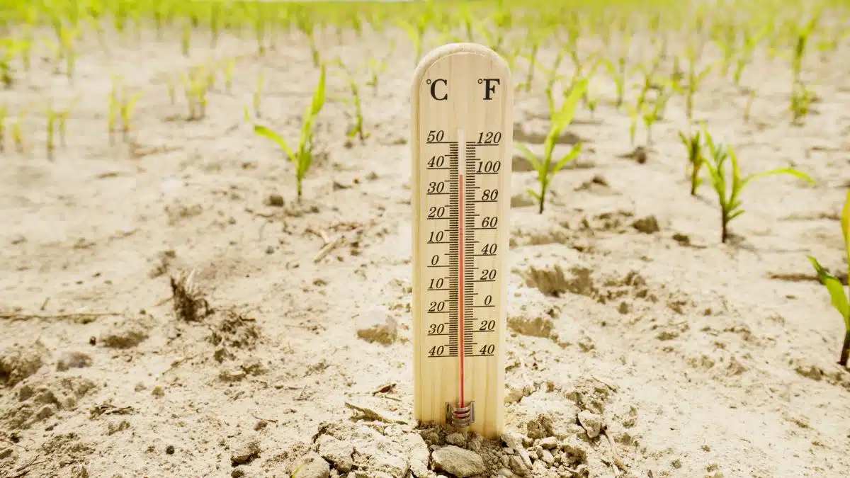 Dacă temperatura planetei va creşte cu 4 grade va influenţa evenimentele meteorologice extreme şi evident sărăcia globală