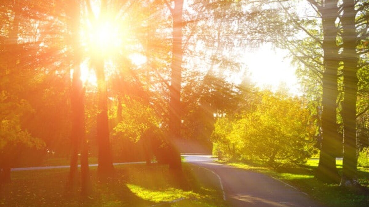 aD00ODAmemM9MSZoYXNoPTc4MDVjM2JhMGY5ODJjN2Y2MDJjYTFiYWUzY2NhNWVl.thumb