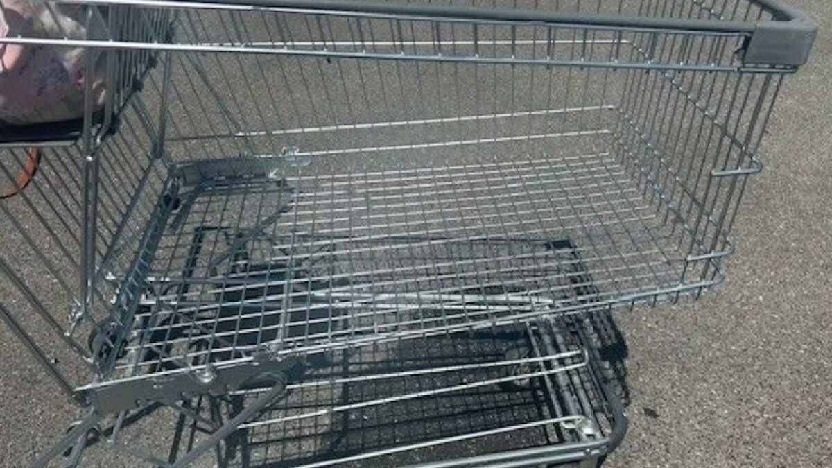 În Viena, cărucioare de supermarket sunt transformate în grătare carucioare taiate