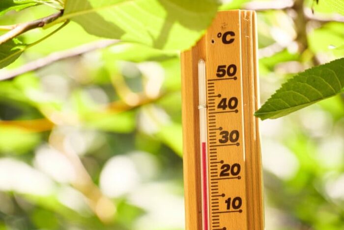 emM9MSZoYXNoPTQ0NDcyYTFkMDI1NjUyNmU2NzgyYjEyZWNhNjBlYzVm.thumb