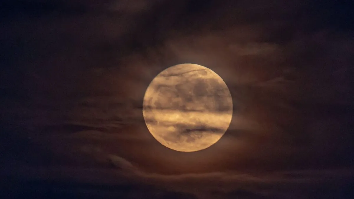 luna-aurie.jpg