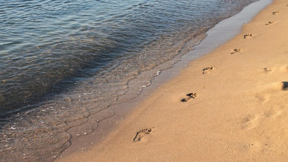 beach-88461_1280.jpg