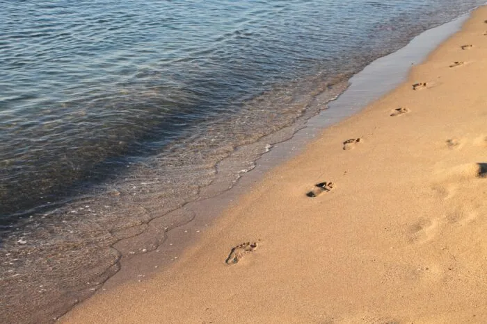 beach-88461_1280.jpg