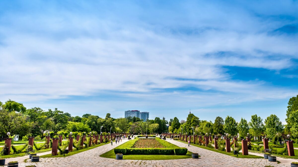 dragos gontariu q1weK5gTFfY unsplash