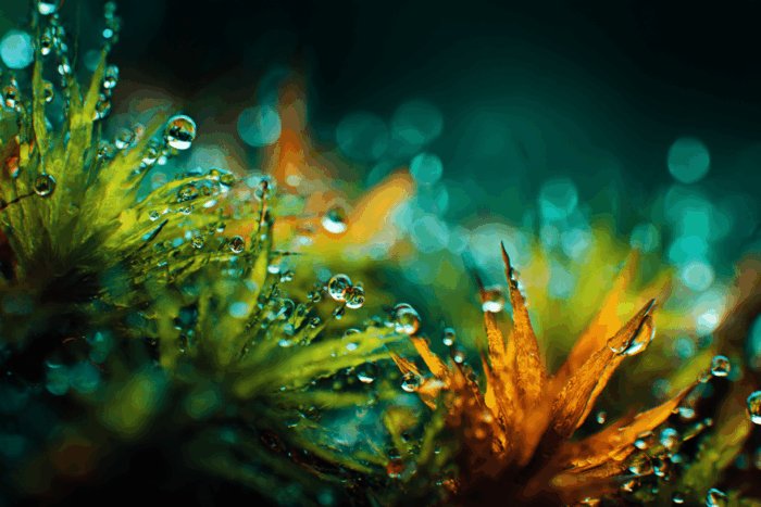 featured image 20