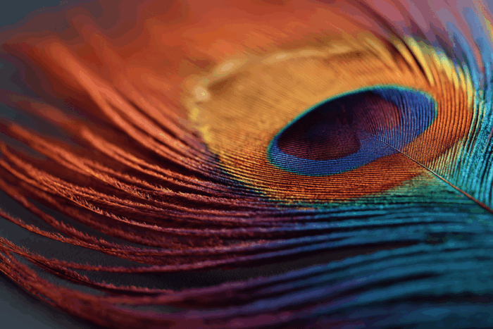 featured image 31