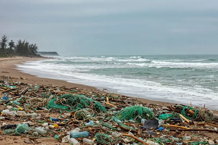 plastic-gunoi.jpg