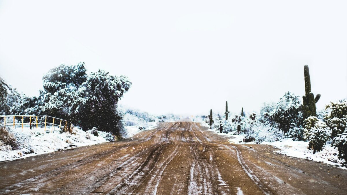 rob sarmiento x7rjyfb8GJA unsplash