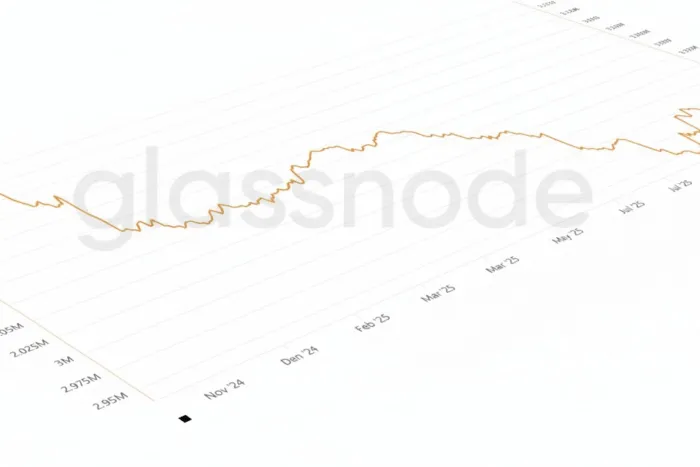 featured_image-377.png