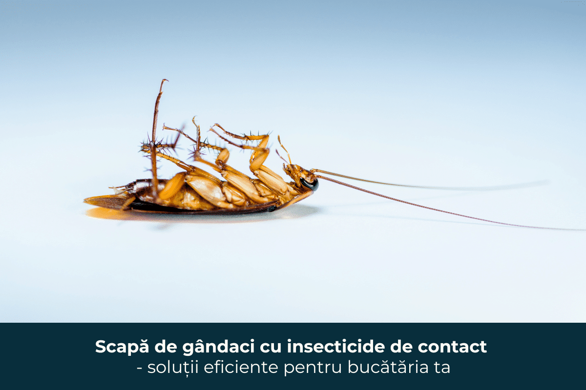 Care sunt insecticidele de contact şi remediile eficiente în combaterea gândacilor de bucătărie?