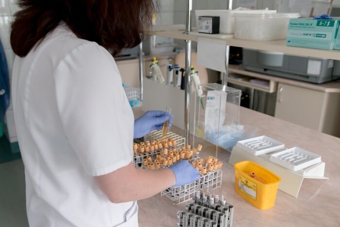 lab-2815632_1280.jpg