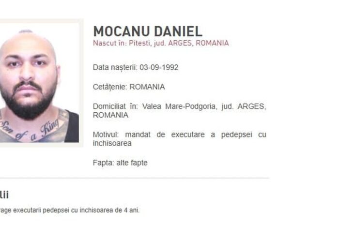 Dani Mocanu 2