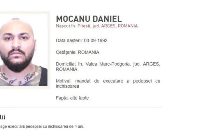 Dani-Mocanu-2.jpg
