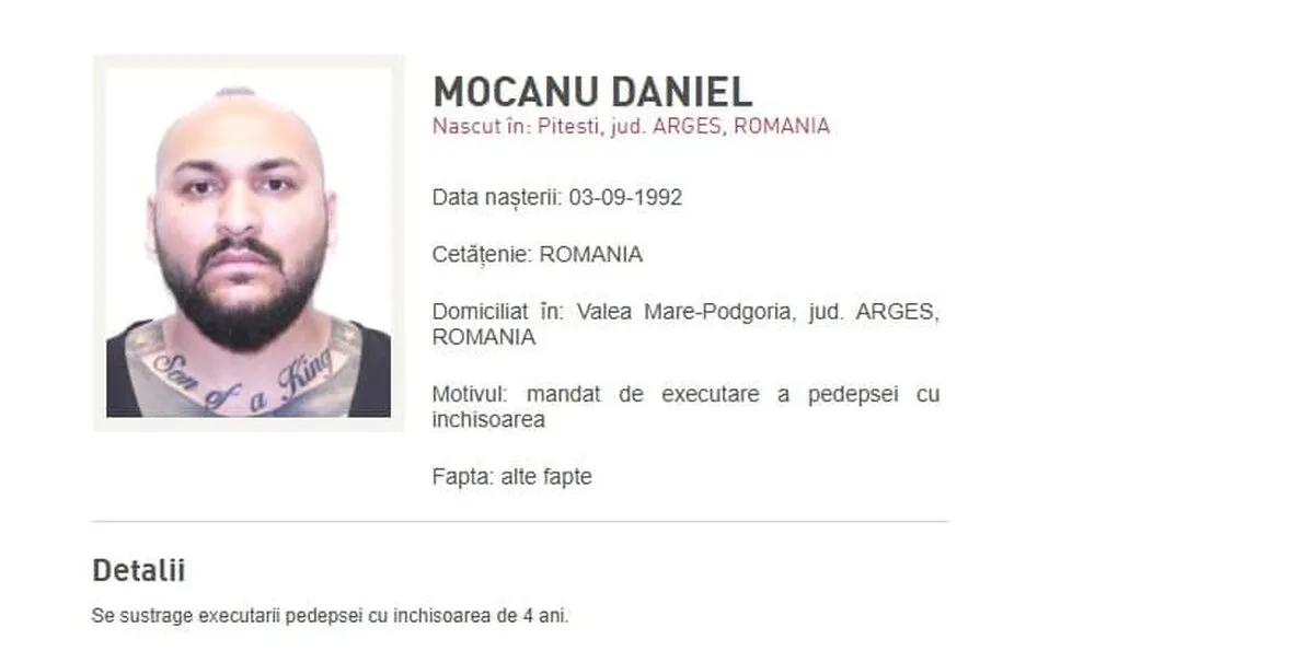 Dani-Mocanu-2.jpg