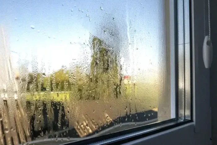 am pus un obiect banal pe pervaz si diminetile nu mai sunt la fel.webp