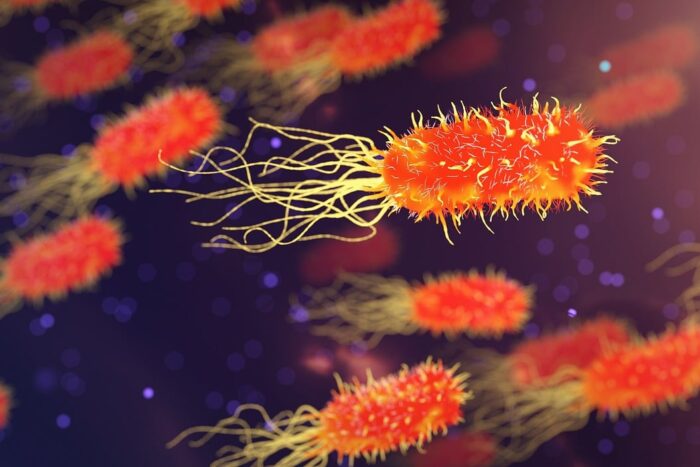 bacteria-3658992_1280.jpg