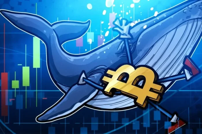 Mișcare surprinzătoare a balenelor Bitcoin zguduie piaţa și aprinde temeri printre investitori miscare surprinzatoare a balenelor bitcoin zguduie piata si aprinde temeri printre investitori.webp