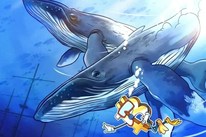Mişcări surprinzătoare pe piaţa Bitcoin: pragul de 106.000 USD ascunde o poveste neaşteptată miscari surprinzatoare pe piata bitcoin pragul de 106 000 usd ascunde o poveste neasteptata.webp