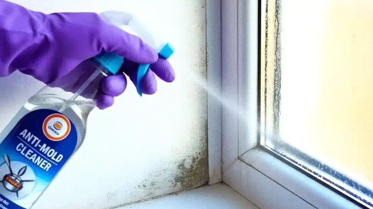 trucul surprinzator din bucatarie care iti schimba iarna la geamuri.webp