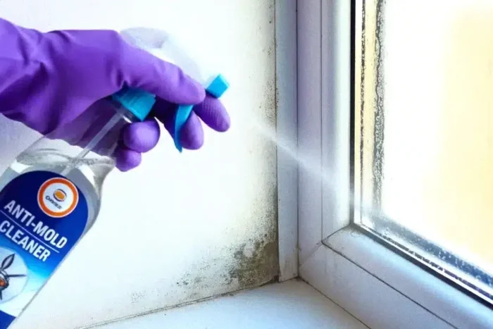 trucul surprinzator din bucatarie care iti schimba iarna la geamuri.webp