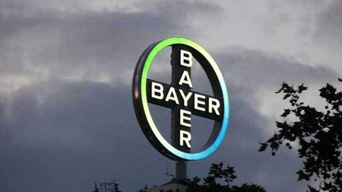 8-bayer.jpg