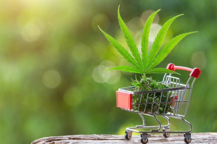 Companiile de canabis din SUA primesc vesti bune de la autoritati