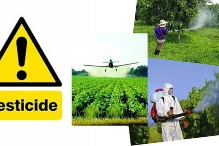 Care este impactul pesticidelor toxice în agricultura din Nigeria? Top alimente ce contin cele mai mari reziduuri de pesticide