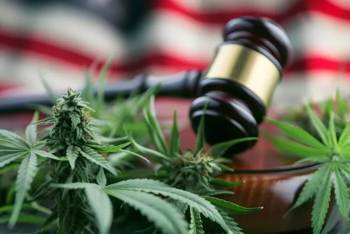 Trump-reclasifica-marijuana-reducand-restrictiile-federale.jpg