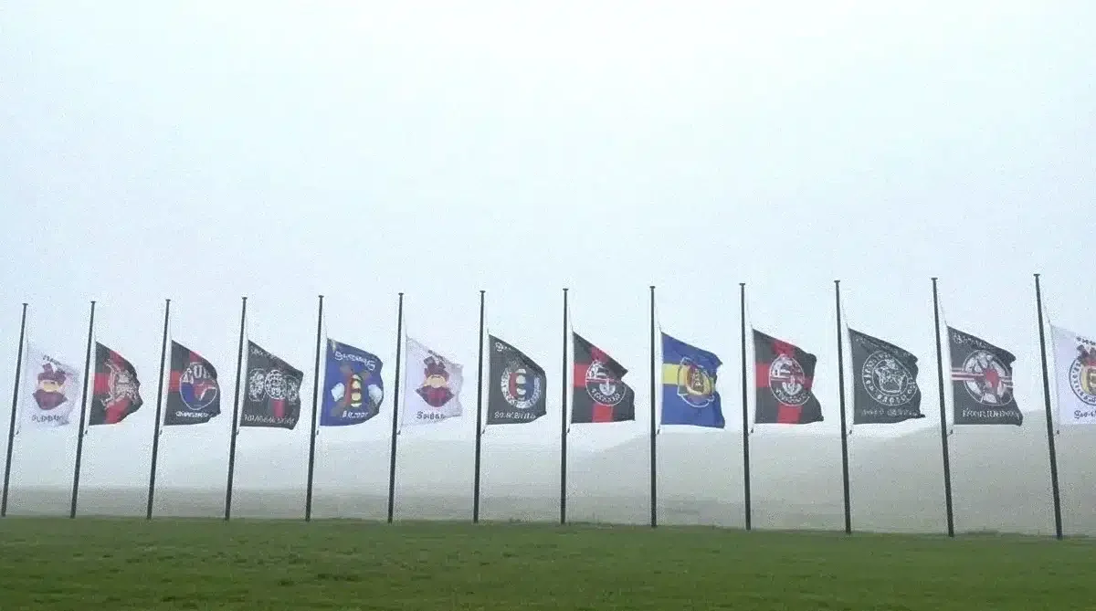 dinamo publica imagini care agita lumea ultras inainte de sarbatori.webp