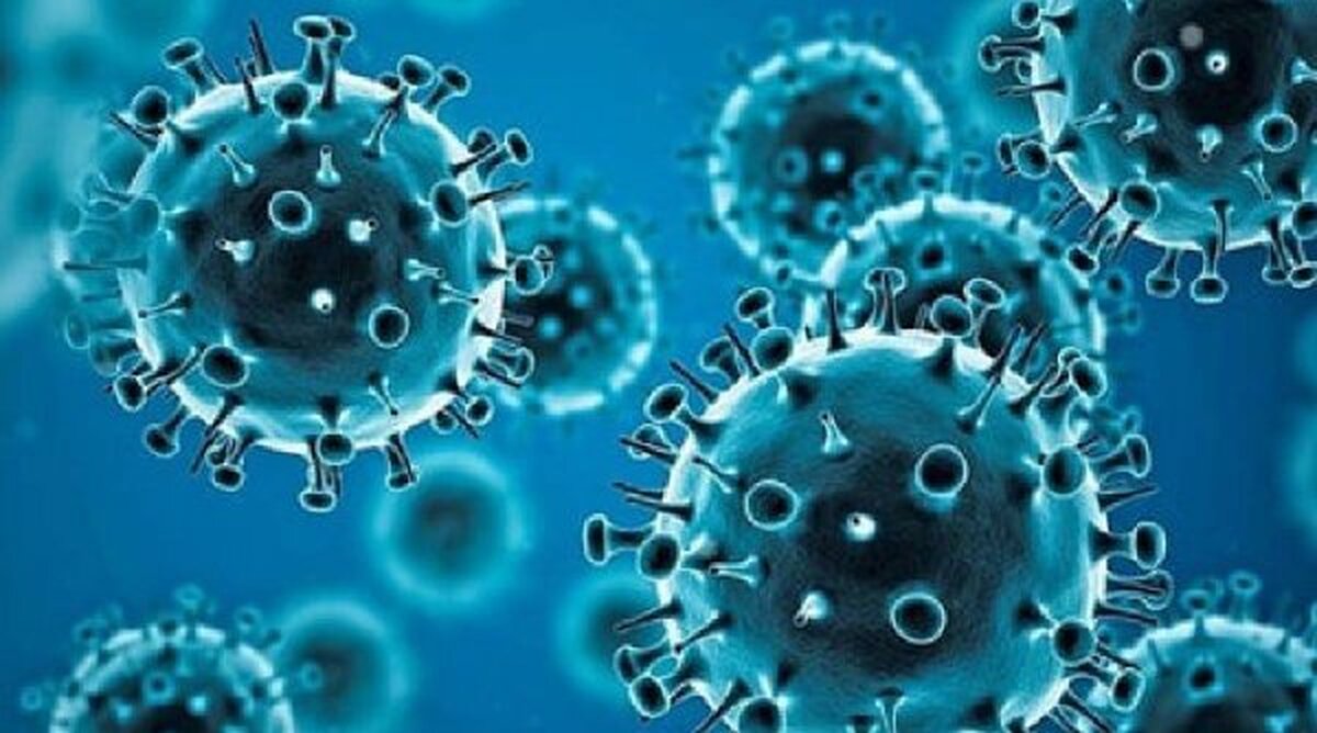 Descoperirea celulelor imunitare și impactul asupra controlului HIV