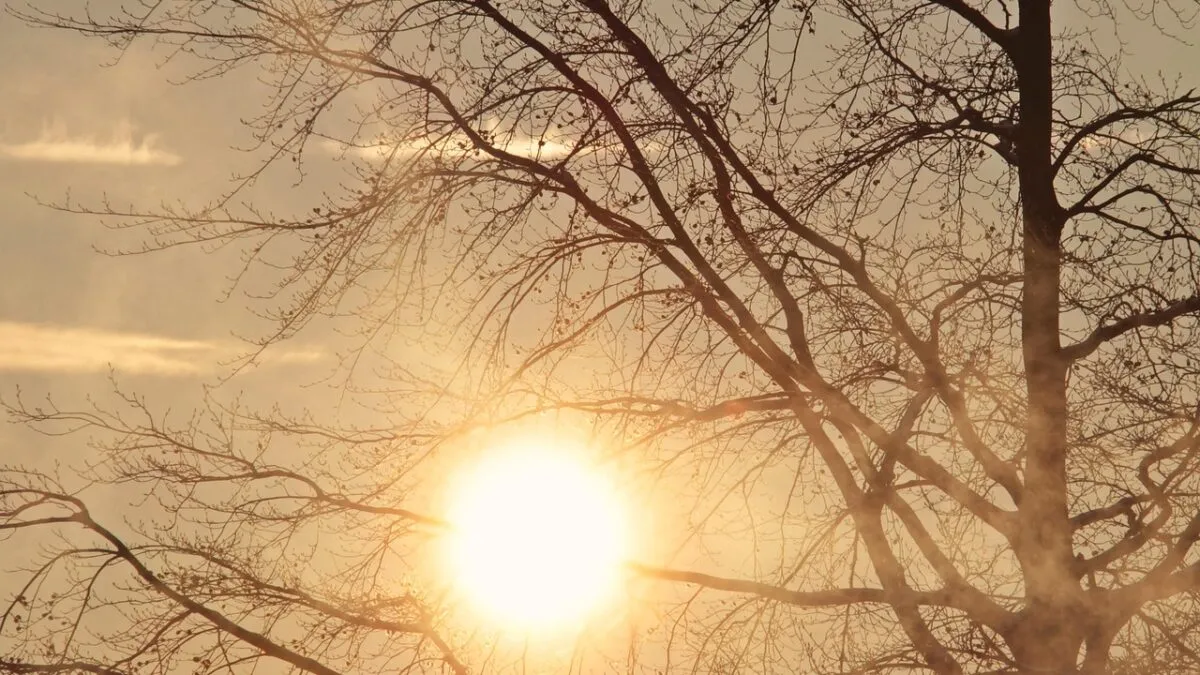adio-ger-prognoza-meteo-cand-se-incalzeste-vremea