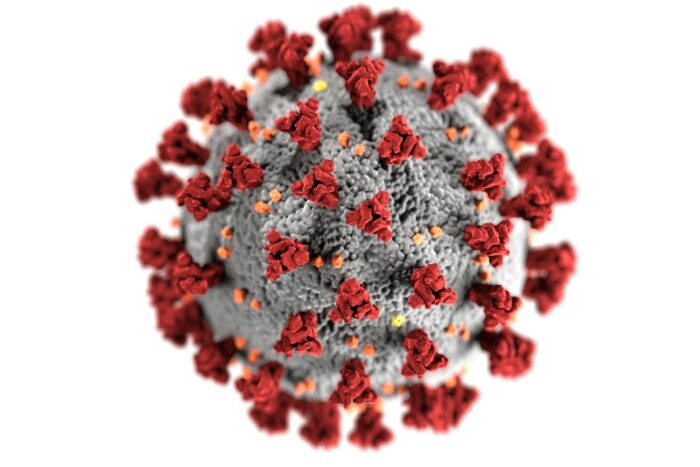 alerta in asia virusul nipah cu mortalitate de 75 ce risc are romania