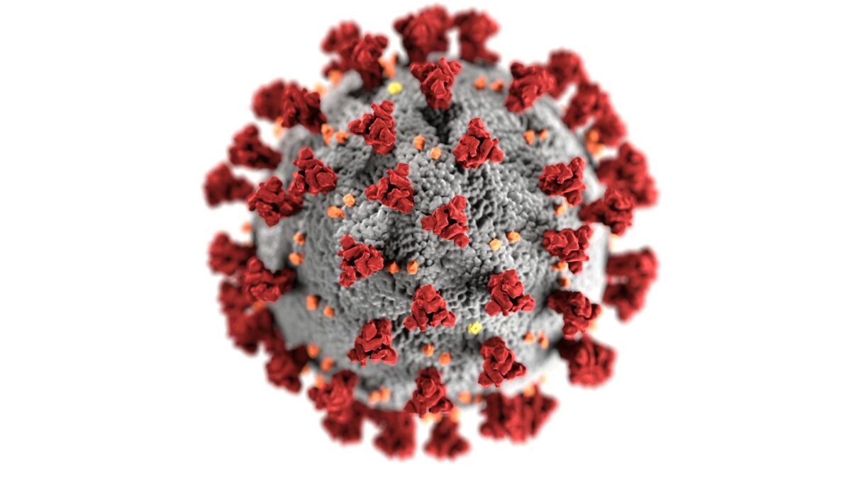 alerta nipah in india 2 cazuri confirmate rata mortalitatii 40 75