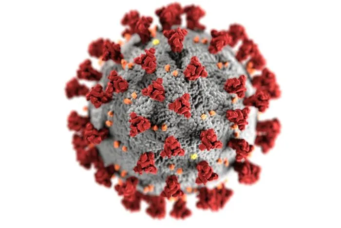 alerta-nipah-in-india-2-cazuri-confirmate-rata-mortalitatii-40-75