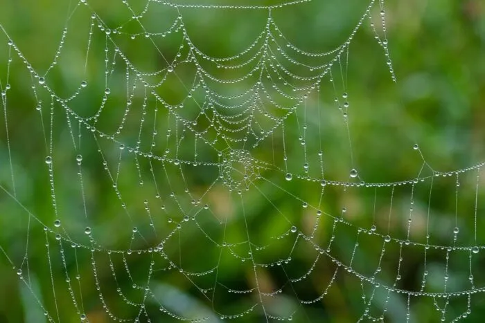 anthropic-si-openai-sug-date-de-pe-net-si-nu-prea-dau-nimic-inapoi-e-corect