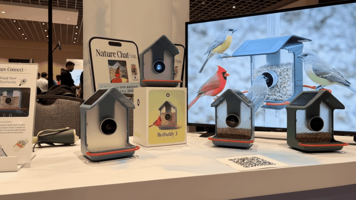 birdbuddy lanseaza noi comedoare smart care identifica pasarile dupa cantec