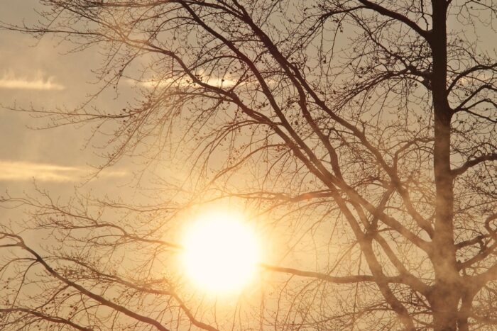 februarie de la ger de 10c la primavara cu 26c anm anunta o luna a extremelor