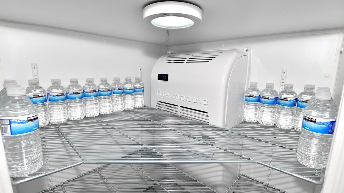 Deficitul de nutrienţi din alimentaţia din SUA lasă cicatrici fizice si psihice pe viată foamea din sua lasa cicatrici fizice si psihice pe viata