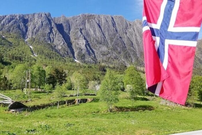 fond danez vinde obligatiuni sua de 100 mil motivul finantele americii