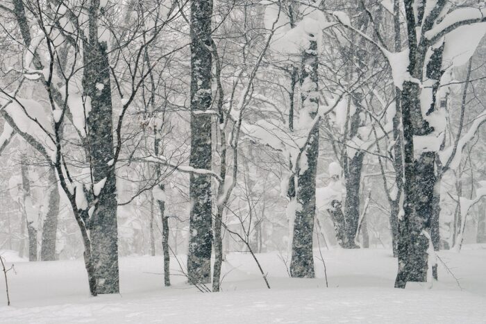 furtuna de iarna in sua 120 de milioane de oameni sub alerta pe 3 000 km