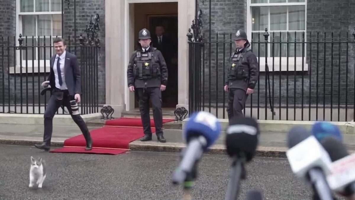 larry-motanul-de-la-downing-street-show-total-la-londra