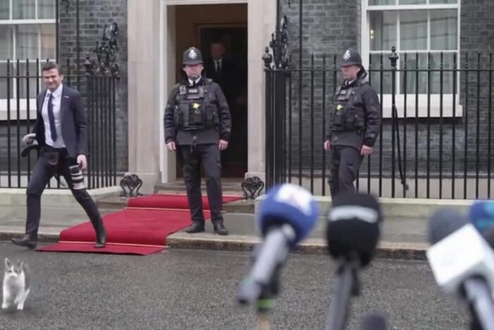 Larry, motanul de la Downing Street, show total la Londra! larry motanul de la downing street show total la londra