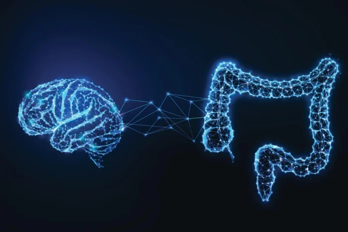microbiomul-intestinal-influenteaza-direct-inteligenta-umana.webp.webp