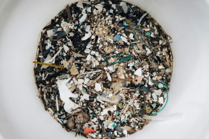 microplastice corp studii 1769763526