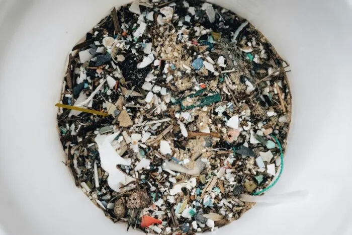 Microplasticele în corp: Studii recente relativizează riscurile
