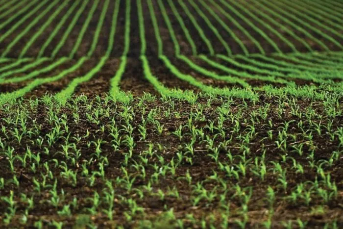 ministrul-agriculturii-recunoaste-nu-putem-testa-importurile