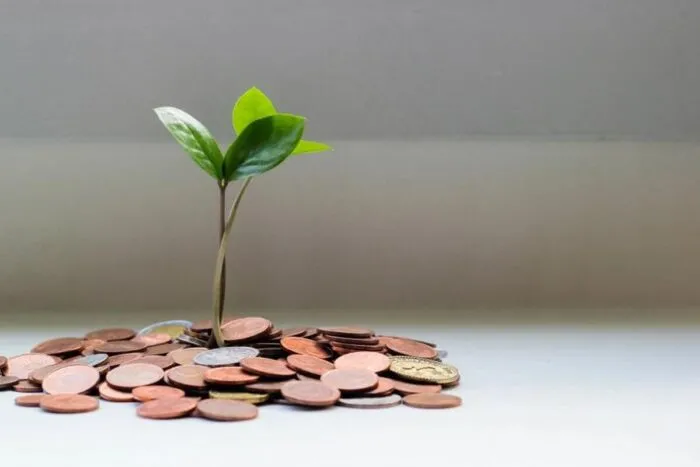 optimism-propune-rascumparari-lunare-de-tokeni-op