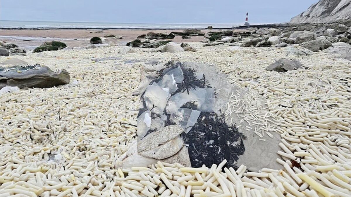 plaja din anglia sub un munte de cartofi prajiti ca n caraibe