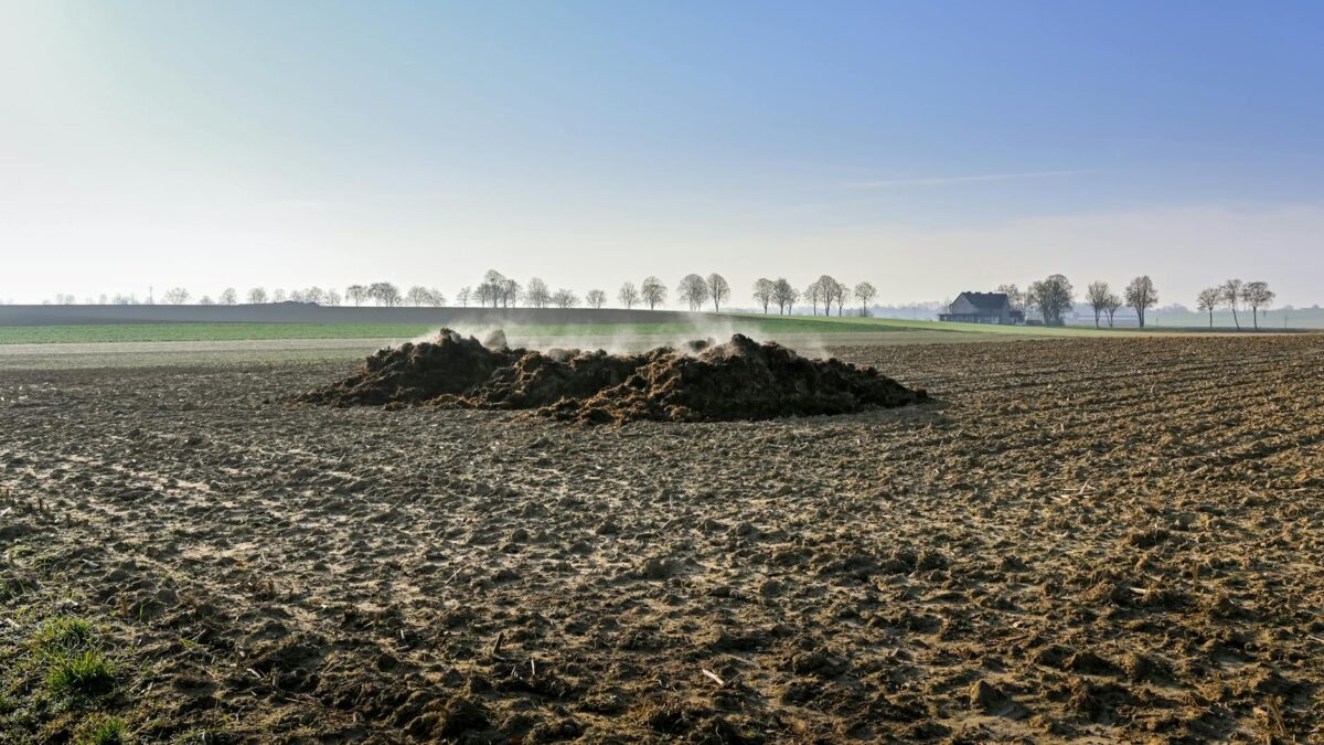 Primăriile, amendate cu 25 mil. lei pentru haosul gunoaielor. Cine plătește?